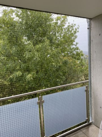 Balcon parois vitrées