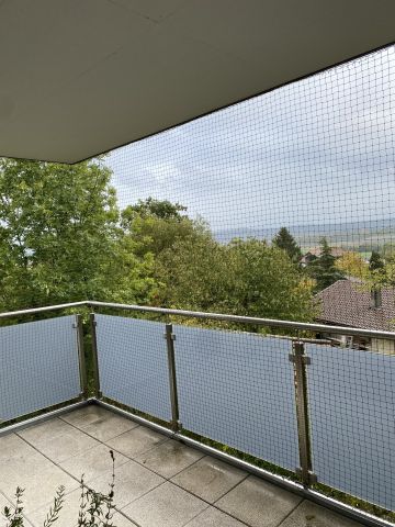 Balcon parois vitrées