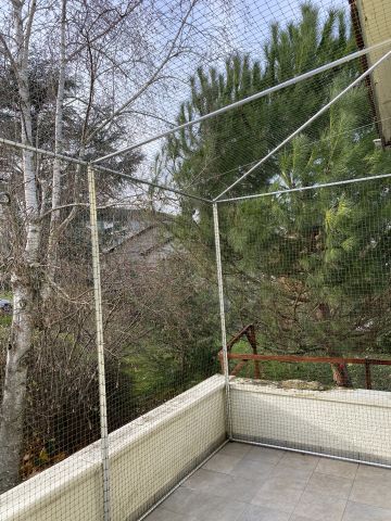 Catio Yverdon