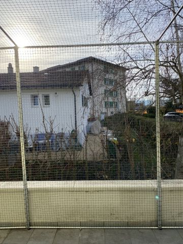 Catio Yverdon