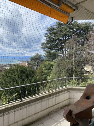 Balcon vue lac