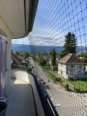 Balcon curviligne