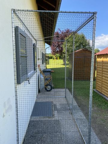 Catio devant fenêtre