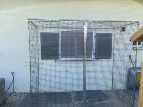 Catio devant fenêtre