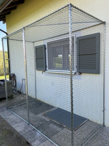 Catio devant fenêtre