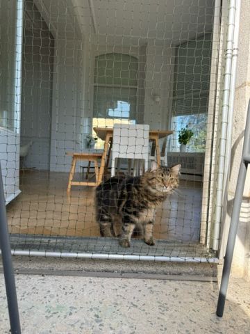 Cadre pour porte, filet coulissant