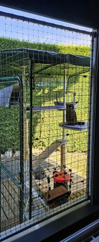 Cadre + cage