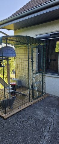 Cadre + cage