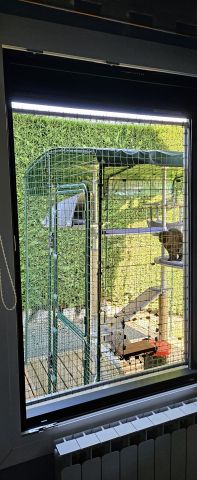Cadre + cage