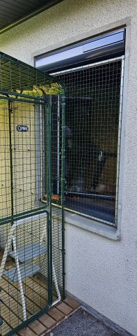 Cadre + cage