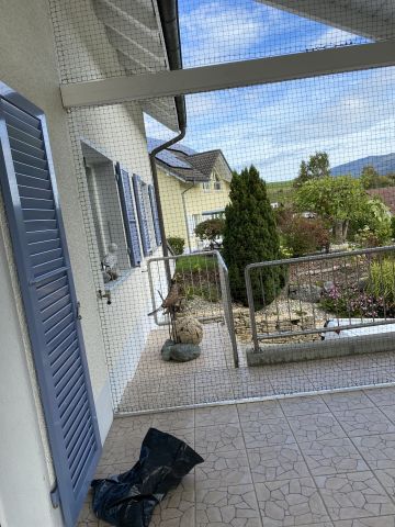 Terrasse couverte sous toit