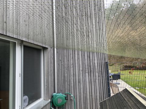 Catio (couverture)