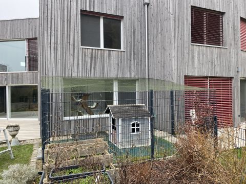Catio (couverture)