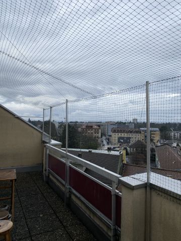 Terrasse avec couverture