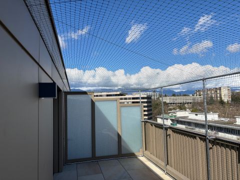 Catio (couverture)