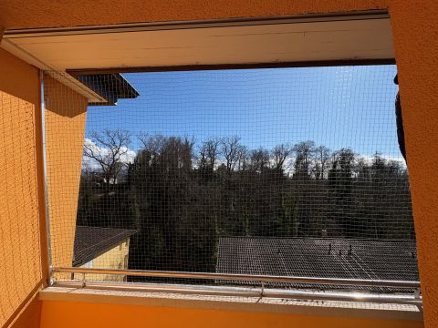 Catio (couverture)