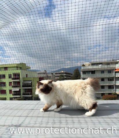Terrasse avec couverture