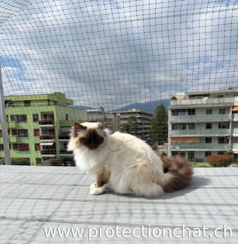 Terrasse avec couverture