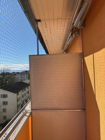 Catio (couverture)