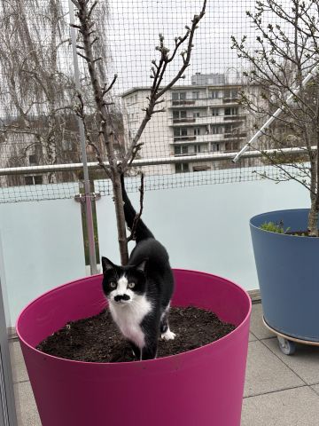 Terrasse avec couverture