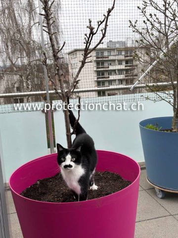 Terrasse avec couverture