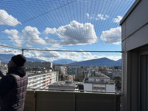 Catio (couverture)