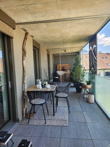 Catio