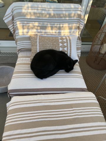 Balcon Grand + Avant-toit