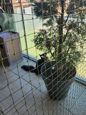 Catio sur balcon