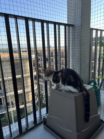 Balcon moderne