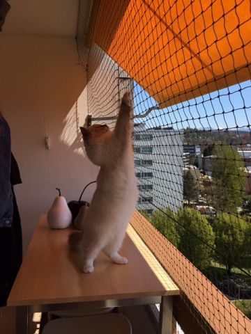 Balcon avec toile solaire