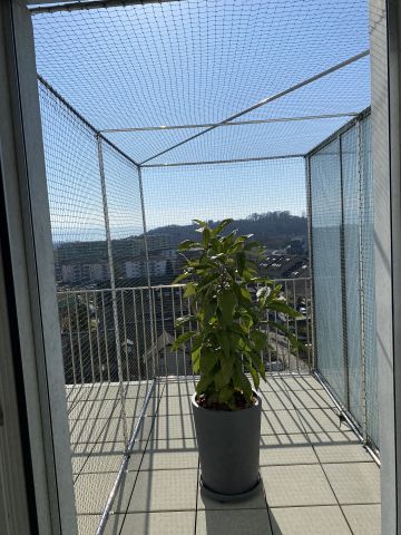 Catio sur terrasse