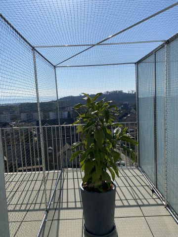 Catio sur terrasse