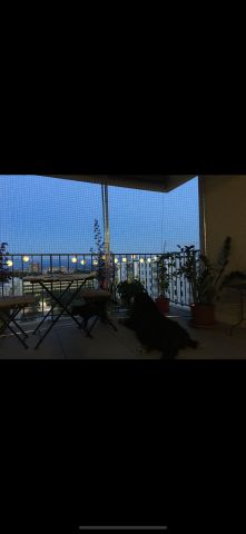 Photos