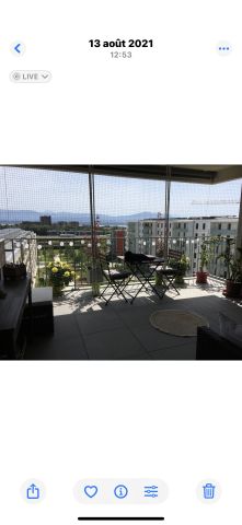 Photos