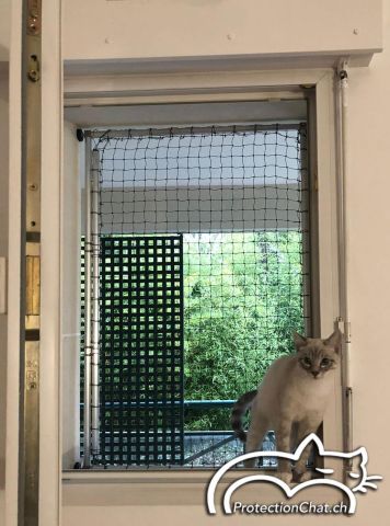 Fenêtres sécurisées