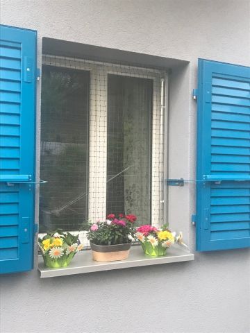 Fenêtres sécurisées
