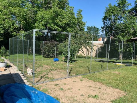 Catio, espace-chats
