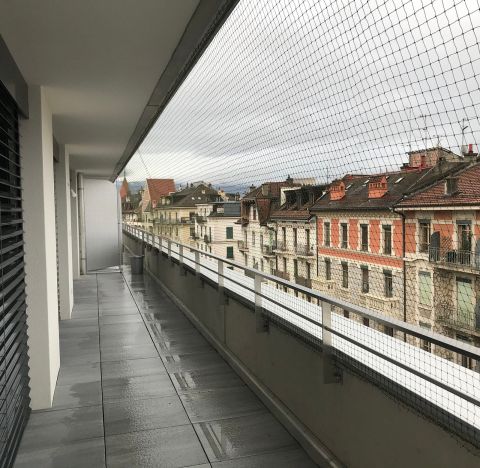 Catio, espace-chats
