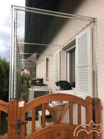 Catio, espace-chats