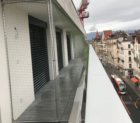 Catio, espace-chats