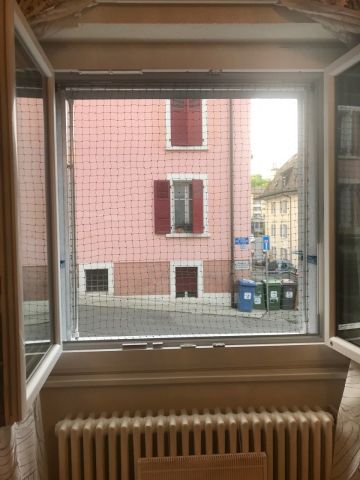 Fenêtres sécurisées