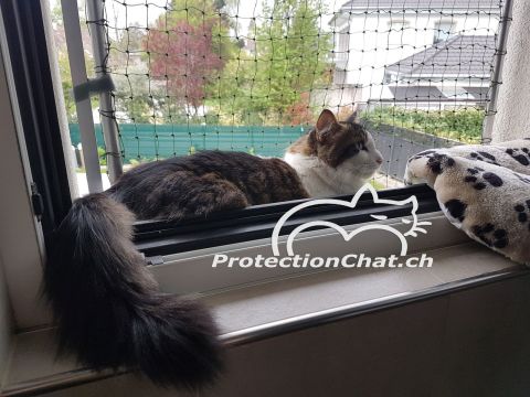 Fenêtres sécurisées