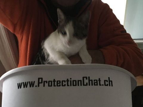 Photos / Vidéos