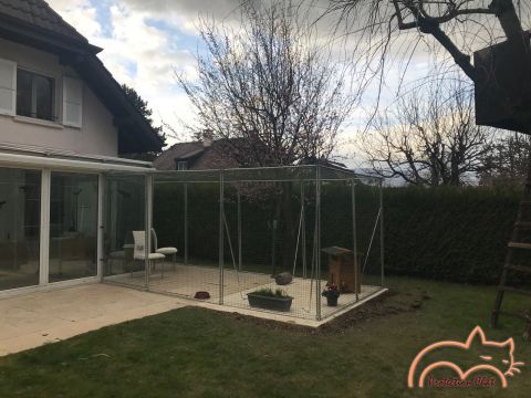 Catio, espace-chats