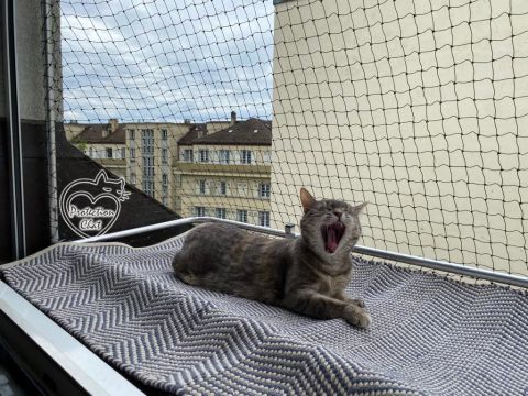 Fenêtres sécurisées: cage-de-foot
