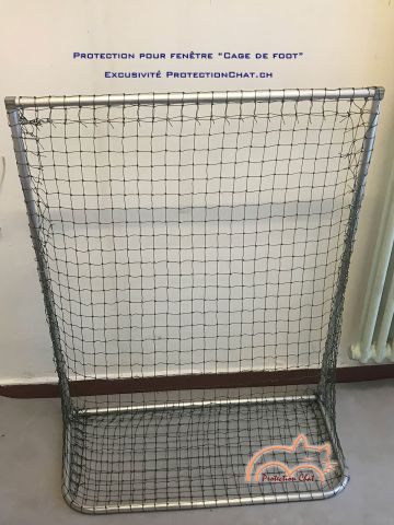 Fenêtres sécurisées: cage-de-foot