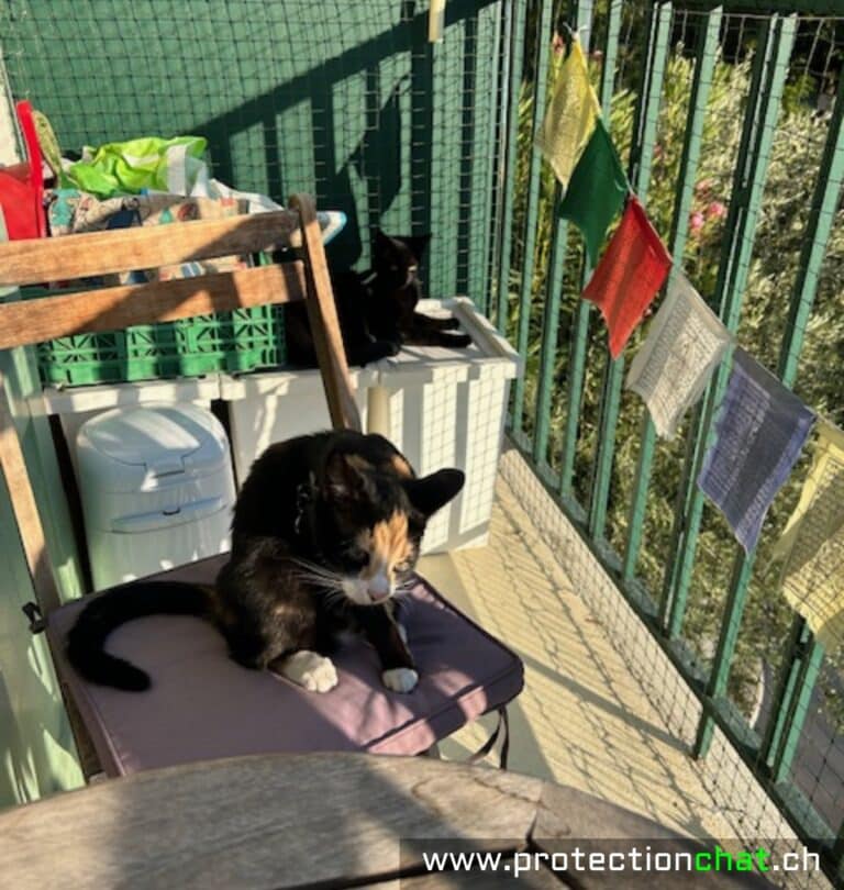 Filet de protection pour chat pour terrasse – photo 1