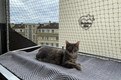 chaterie-sur-fenetre-07