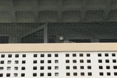 Filet-vert-Immeuble-Brecolini